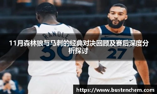 悟空体育直播平台11月森林狼与马刺的经典对决回顾及赛后深度分析探讨